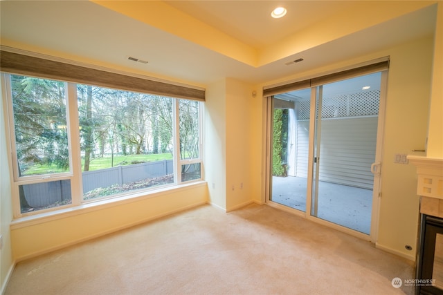 unfurnished room with plenty of natural light, light carpet, a tray ceiling, and a fireplace