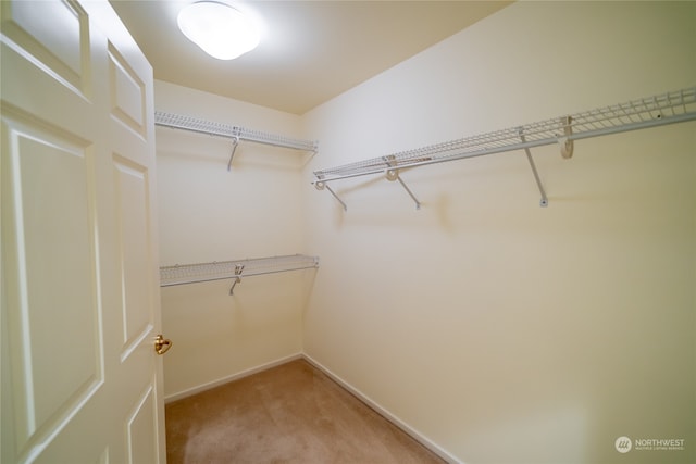 spacious closet with light carpet