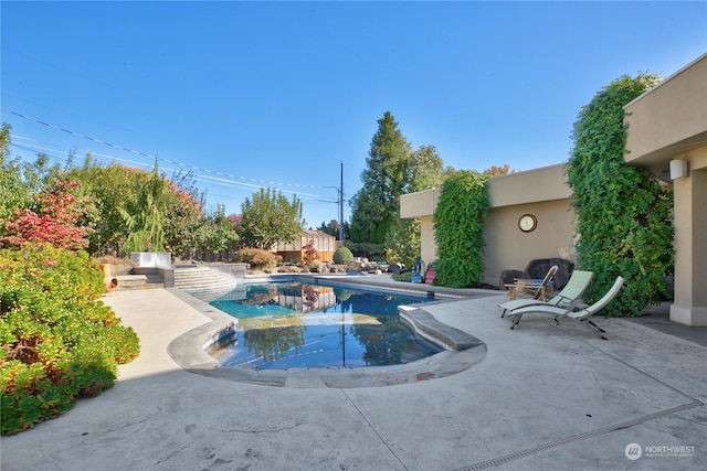 view of pool with a patio