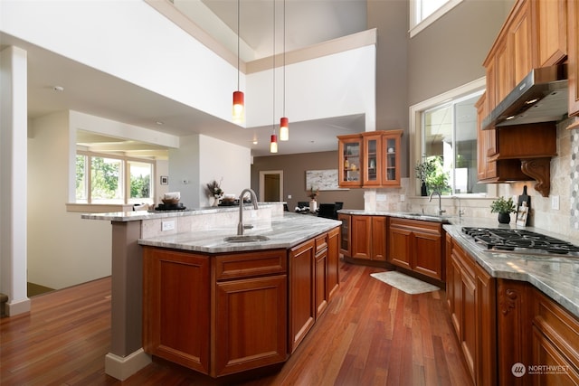 kitchen with wood-type flooring, wall chimney exhaust hood, a kitchen island with sink, and light stone countertops