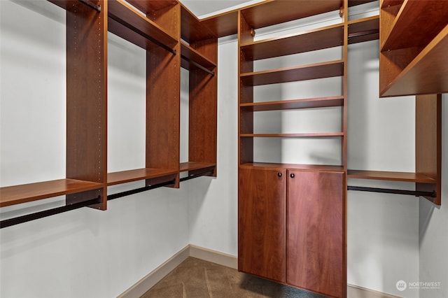 walk in closet with carpet flooring