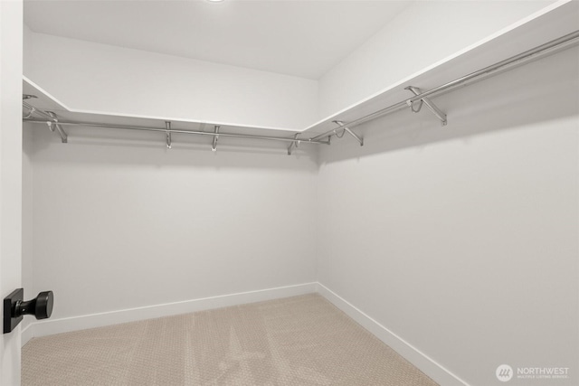 spacious closet featuring carpet flooring