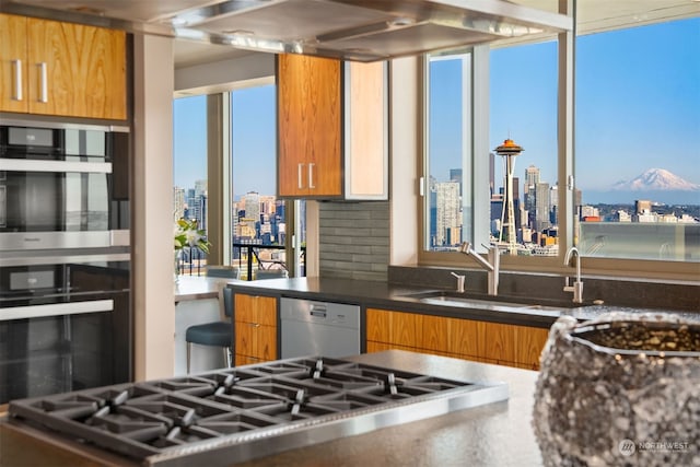 kitchen featuring stainless steel double oven, dishwasher, and sink