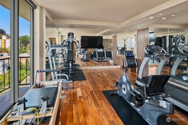 workout area with a wealth of natural light and dark hardwood / wood-style flooring