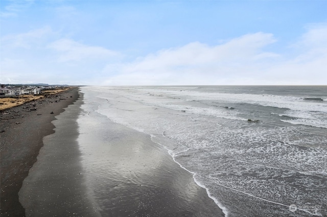 water view featuring a beach view