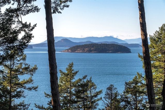 385 Karen Ln, Orcas Island WA, 98245 land for sale