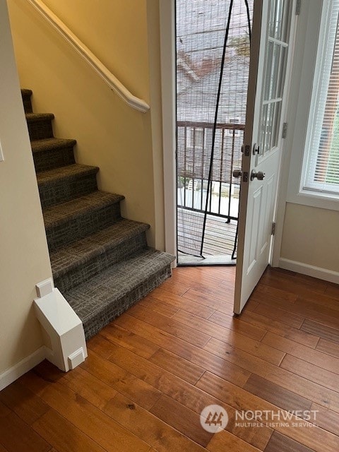 interior space with dark hardwood / wood-style floors