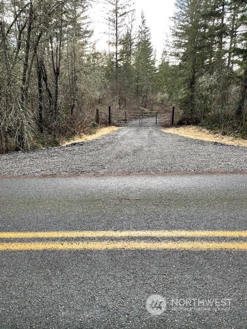 21933 Peissner Rd SE, Yelm WA, 98597 land for sale