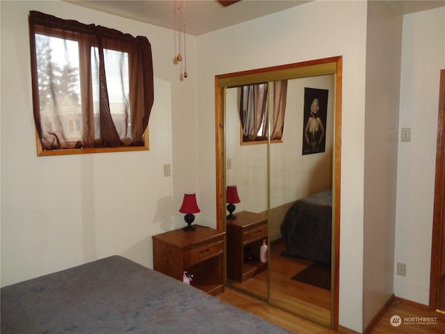 bedroom with a closet and wood-type flooring