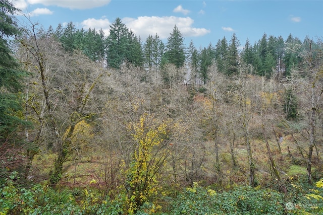 view of local wilderness