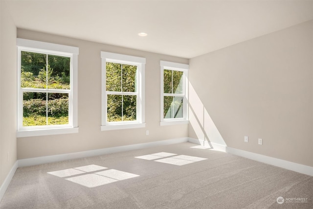 15806 201st Pl SE, Monroe, WA 98272 - photo 31