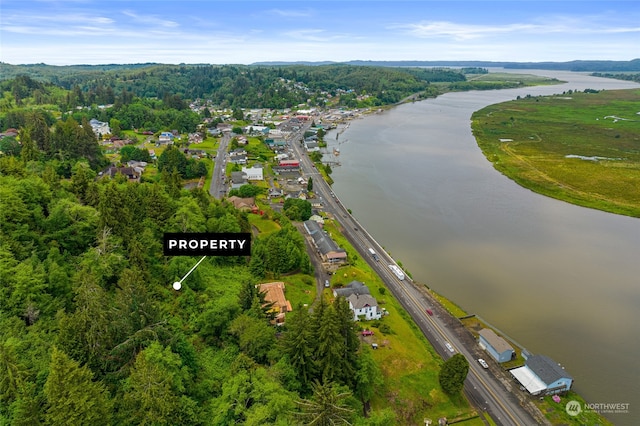 0X First St W, South Bend WA, 98586 land for sale