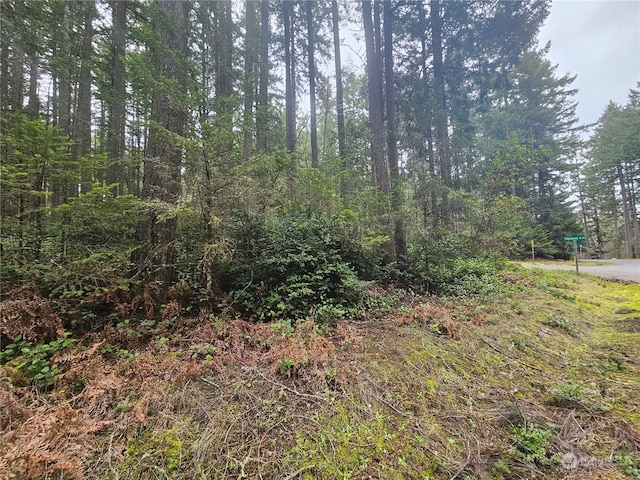 12717 Camus Dr, Anderson Island, WA 98303
