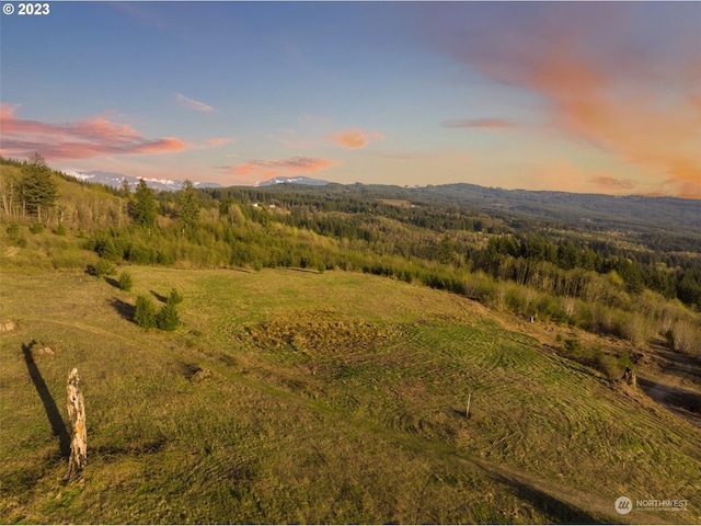 0 NE Alvas Rd, Battle Ground WA, 98604 land for sale