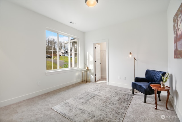 sitting room with carpet