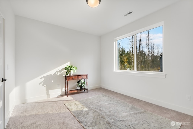 spare room featuring light colored carpet