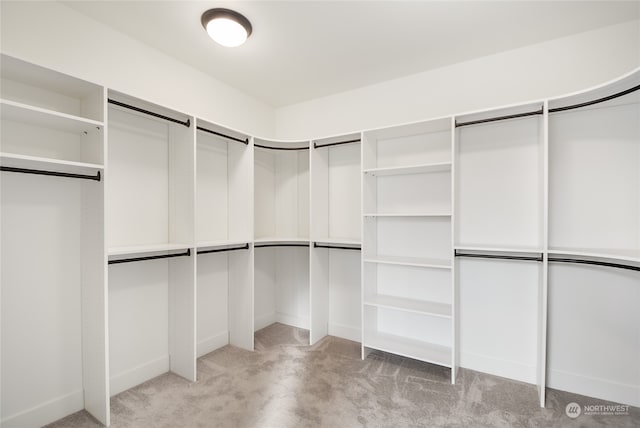 walk in closet featuring light colored carpet