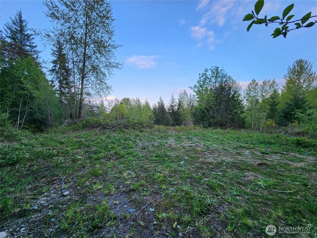 992 Sunrise Rd, Brinnon, WA 98320 - photo 1