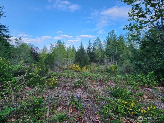 992 Sunrise Rd, Brinnon, WA 98320 - photo 2