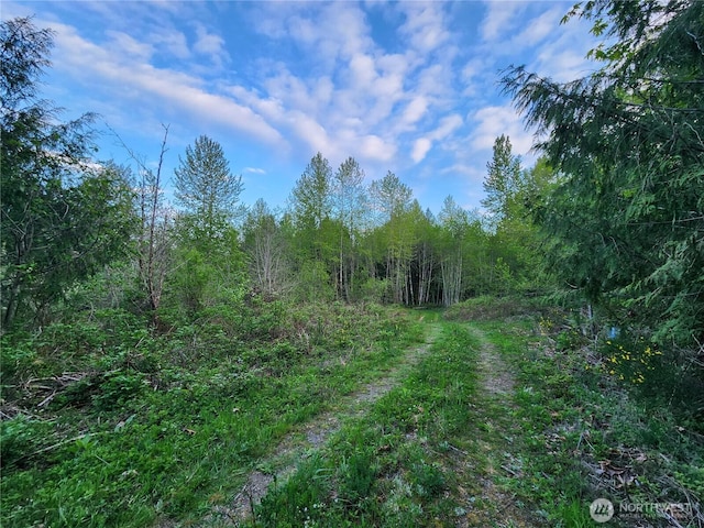992 Sunrise Rd, Brinnon, WA 98320 - photo 3
