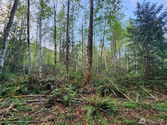 992 Sunrise Rd, Brinnon, WA 98320 - photo 5