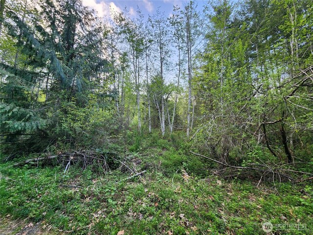 992 Sunrise Rd, Brinnon, WA 98320 - photo 6