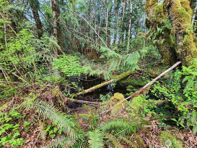 992 Sunrise Rd, Brinnon, WA 98320 - photo 7