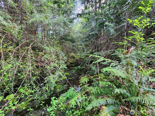 992 Sunrise Rd, Brinnon, WA 98320 - photo 8