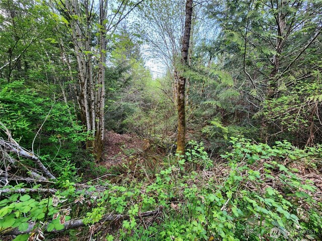 992 Sunrise Rd, Brinnon, WA 98320 - photo 10