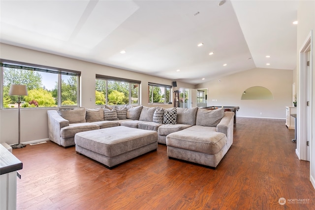 living room with lofted ceiling and dark hardwood / wood-style floors