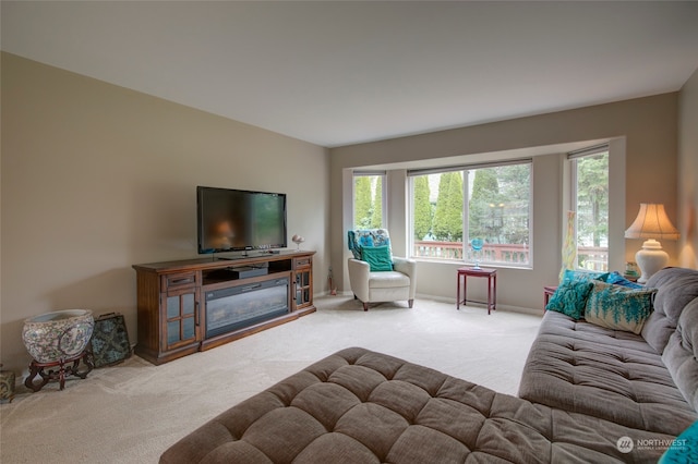 view of carpeted living room