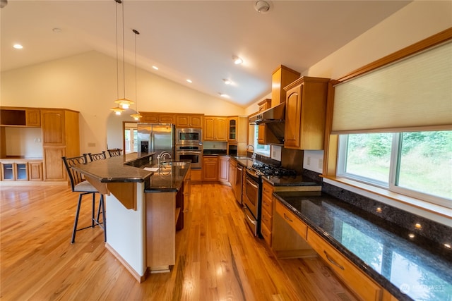 kitchen with a breakfast bar, stainless steel appliances, light hardwood / wood-style flooring, a kitchen island with sink, and hanging light fixtures