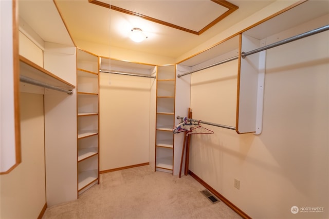 walk in closet with light colored carpet