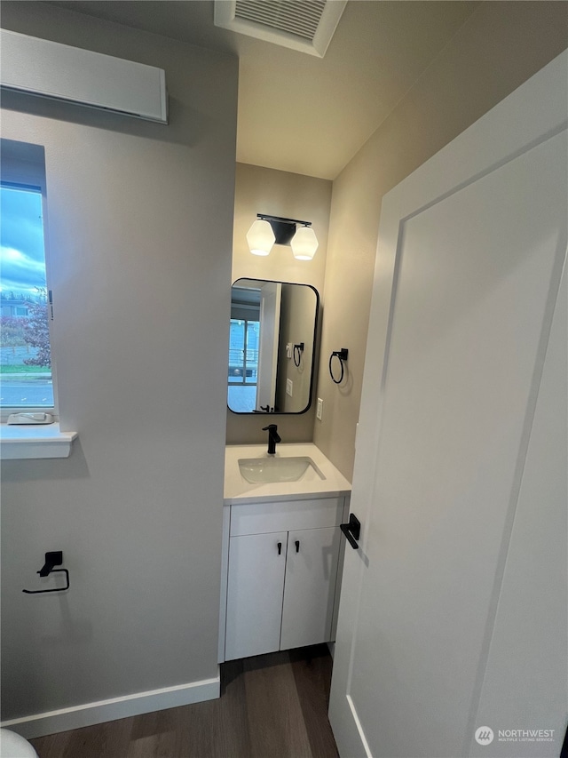 bathroom featuring hardwood / wood-style floors and vanity