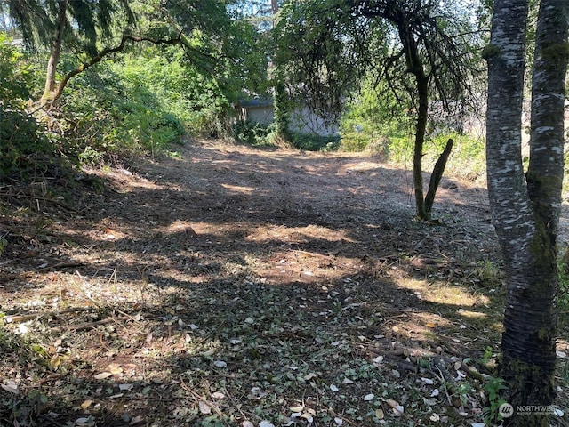 0 Edgewood Ave SW, Lakewood, WA 98498 - photo 2