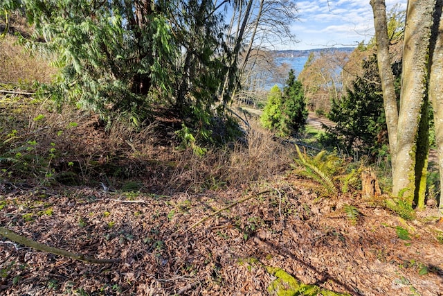 Listing photo 3 for 0LOT19 61st Pl W, Mukilteo WA 98275