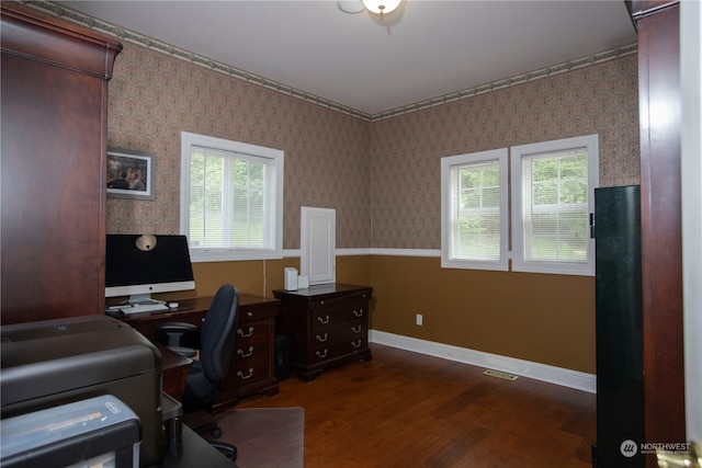 office space featuring dark hardwood / wood-style flooring