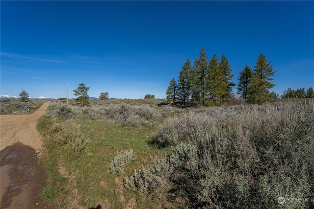 203 Falcon Ridge Rd, East Wenatchee WA, 98802 land for sale