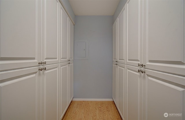 walk in closet with electric panel and light wood-type flooring