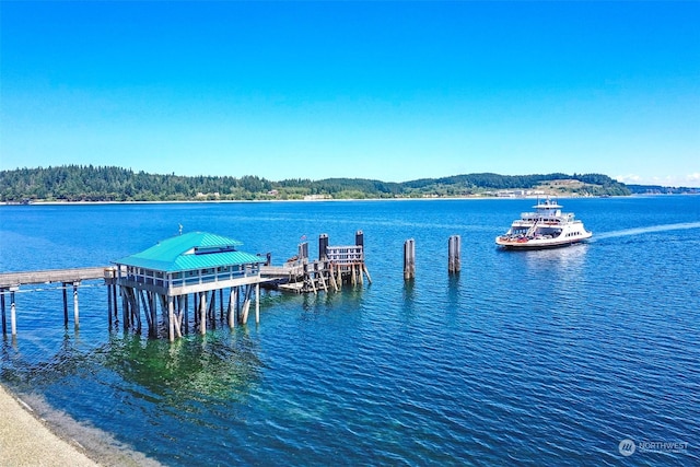 dock area featuring a water view