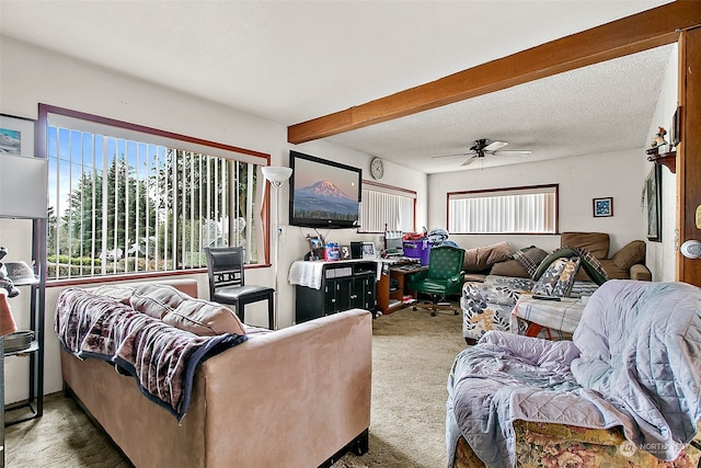 living room with beam ceiling, a textured ceiling, ceiling fan, and dark carpet