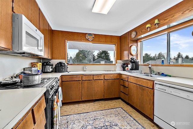 kitchen with white appliances, sink, and a wealth of natural light