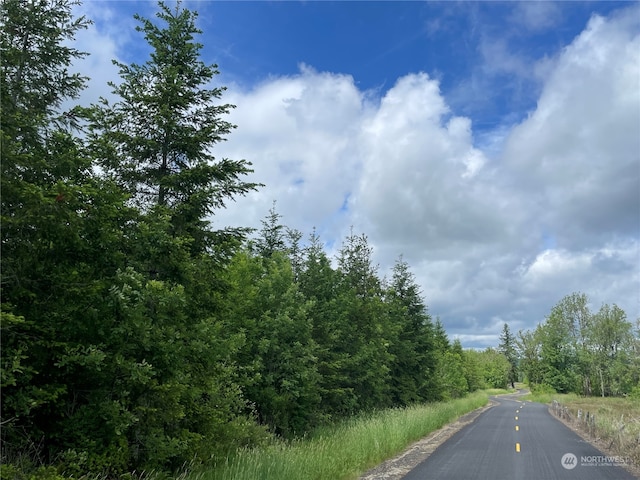 0NKA Finkas Rd, Toutle WA, 98649 land for sale