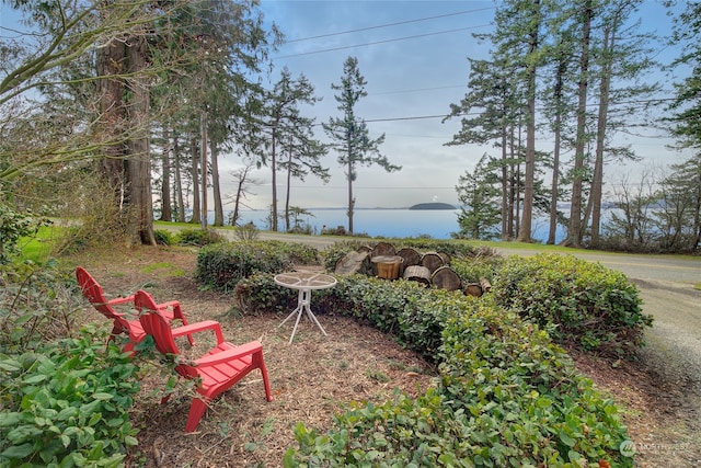 view of yard featuring a water view