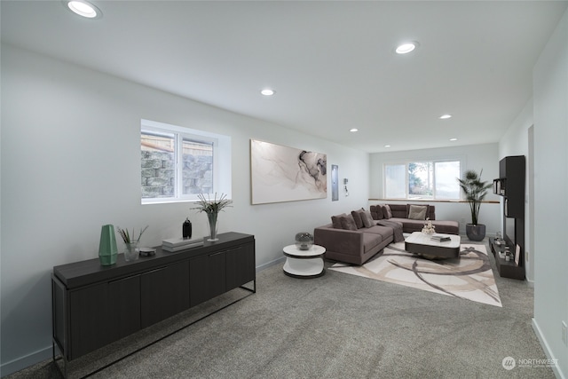 living room featuring light colored carpet