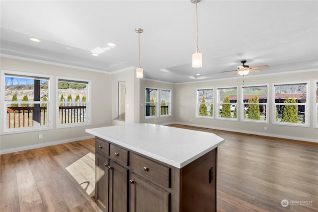 kitchen featuring crown molding, ceiling fan, plenty of natural light, and light hardwood / wood-style floors