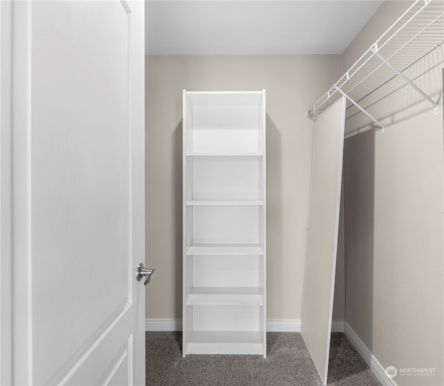 walk in closet featuring dark colored carpet