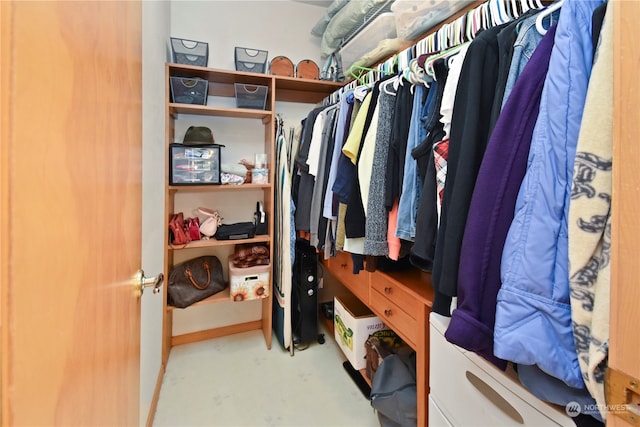 view of walk in closet