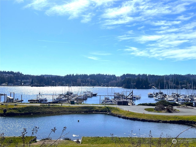 water view featuring a boat dock