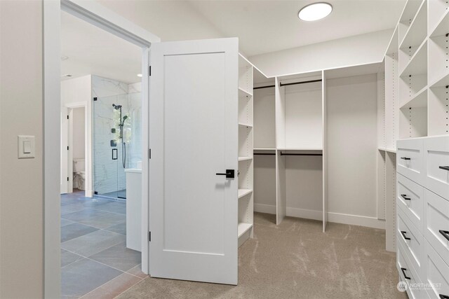 spacious closet with light carpet